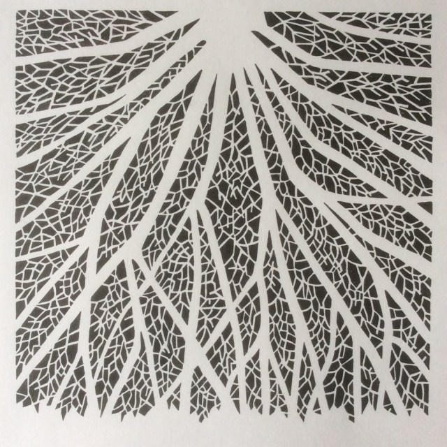 foto-21-12-16-12-48-27